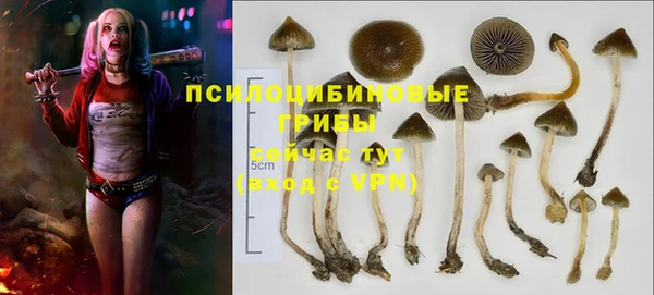 jwh Нязепетровск