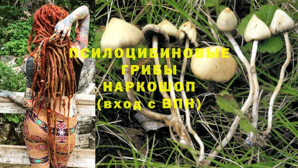 mdpv Нягань