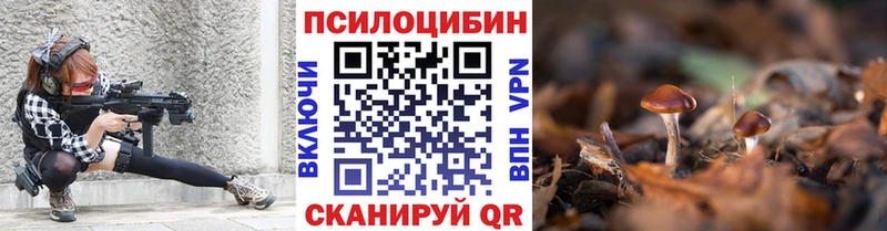 Псилоцибиновые грибы Cubensis Уржум